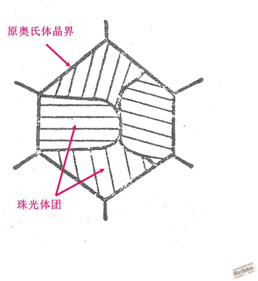 珠光体相变.jpg